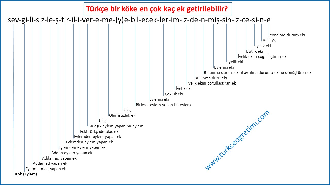 turkceenuzunkelime2019.jpg - 128,57 kB