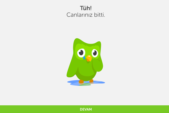 duolingo3_550.jpg - 39,60 kB